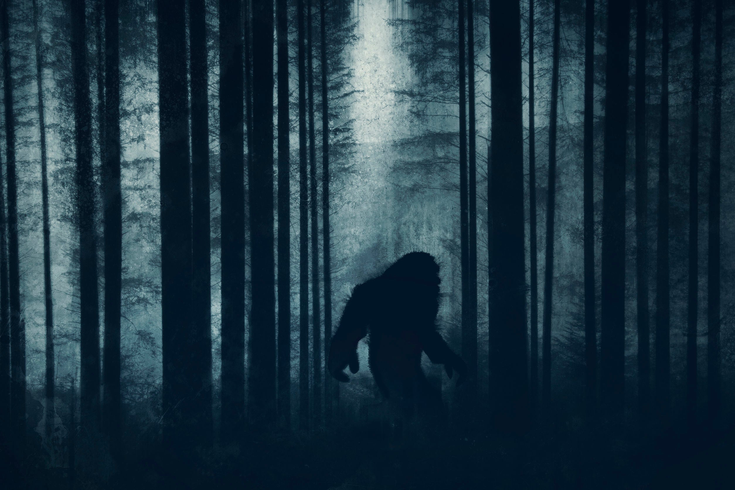 Bigfoot